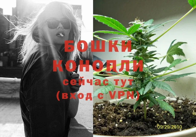 Бошки марихуана THC 21%  Казань 